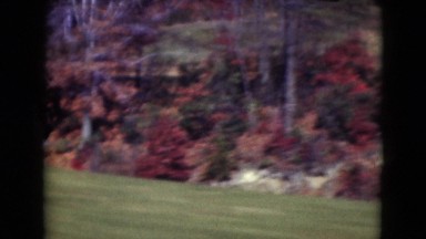 1947: forest area is seen MIDDLETOWN