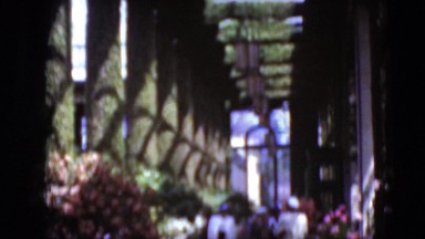 1949: beautiful walkway lined with lush foliage and flowers MIDDLETOWN