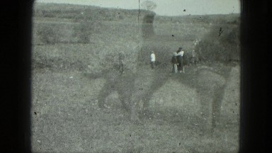1949: Dog Wearing Harness with Puppy Nearby Superimposed Over Image of People