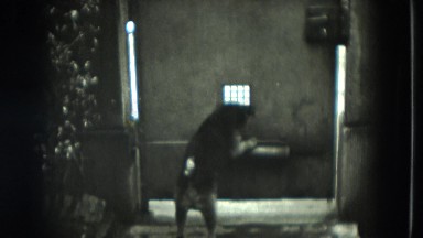 1951: dog is seen being pet AUSTRIA