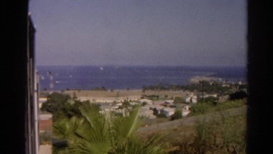 1966: coastal area is seen with tall trees CALIFORNIA