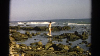 1966: coastal area is seen with tall trees CALIFORNIA