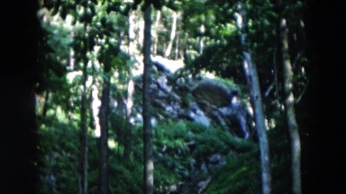 1957: People on Platform in the Wood Overlooking Mountainous Canyon Hicksville