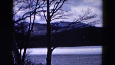 1957: bare trees wave in the breeze near partially frozen lake in the winter