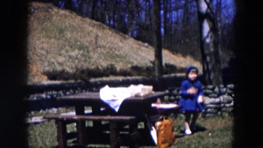 1957: forest area is seen HICKSVILLE, NEW YORK