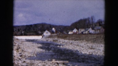 1957: forest area is seen HICKSVILLE, NEW YORK
