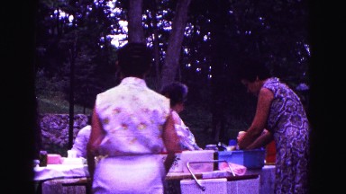 1971: several ladies preparing food at picnic while children and adults play