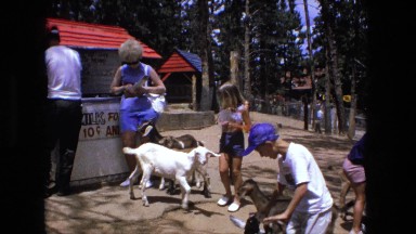 1974: people feed goats near stand at petting zoo FORT WAYNE, INDIANA
