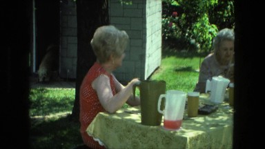 1974: Watching Dog Making Sure He Doesn't Leave Yard Fort Wayne, Indiana