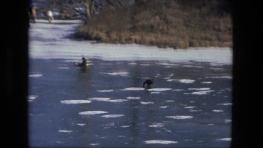 1974: family dog running ahead on frozen ice river FORT WAYNE, INDIANA