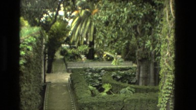 1978: beautiful garden rich of plants and flowers and potted plants FRANCE