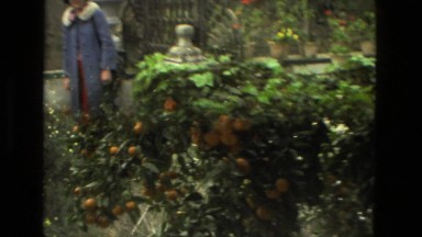 1978: woman stands in beautiful garden at the base of an ancient wall FRANCE