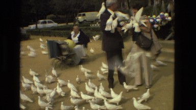 1978: birds are seen feeding themselves FRANCE