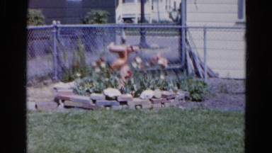 1960: small bordered flower garden patch in fenced yard WAUCONDA, ILLINOIS