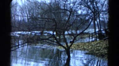 1960: forest area is seen WAUCONDA, ILLINOIS