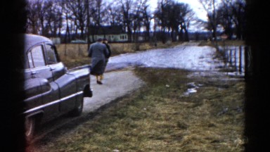 1960: forest area is seen WAUCONDA, ILLINOIS