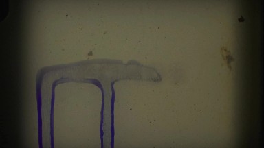 1960: Two Girls Swimming in Pool with Father Florida