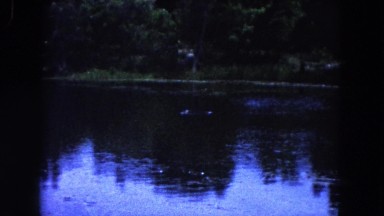 1960: a fountain inside of the river FLORIDA