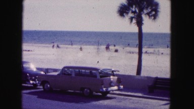 1960: a view of the beach and ocean through palm trees FLORIDA