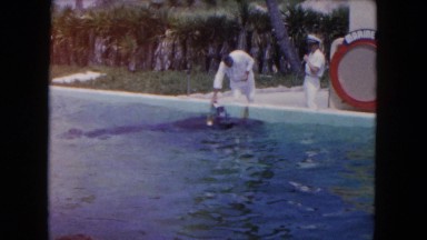 1960: whale at a theme park FLORIDA