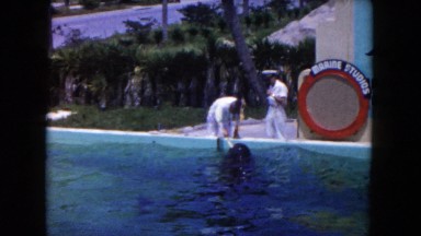 1960: taking care of a whale at the theme park FLORIDA