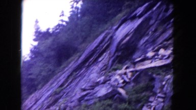 1960: a hilly area is seen with trees and greenery FLORIDA