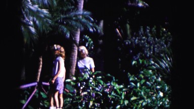 1960: family walking around a tropical area FLORIDA