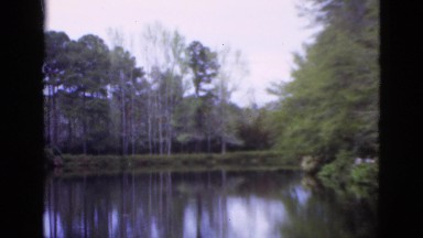1952: A Beautiful Pond Surrounded by a Lush Green Environment Camden, New Jersey
