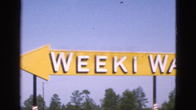 1952: A Panorama of the Weeki Wachee Sign in Camden, New Jersey