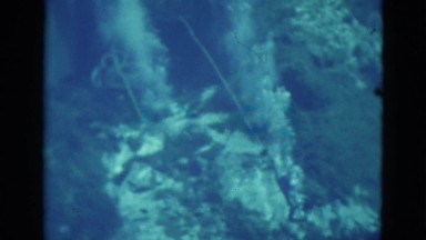 1952: Swimming in Deep Water at Outdoor Pool, Camden, New Jersey