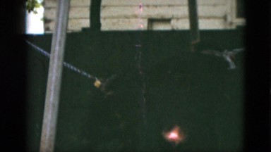 1952: two monkeys play with each other while attached to ropes. CAMDEN