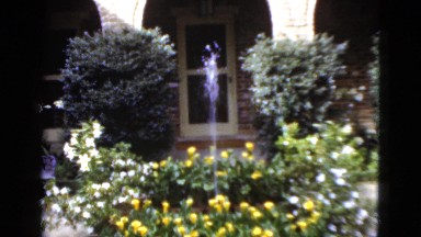 1952: video of water fountain with yellow and white flowers outdoor of building