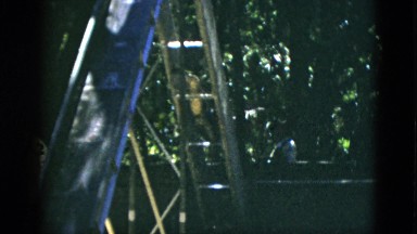1952: alligator playing on slide CAMDEN, NEW JERSEY
