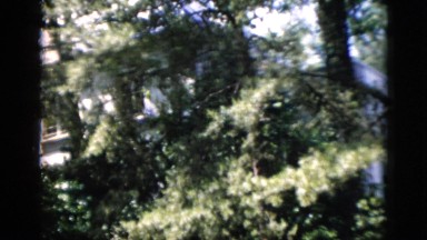 1952: beautiful secluded house in the forest tranquil and peaceful ambiance