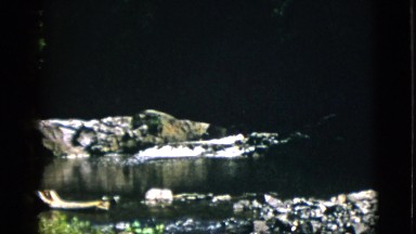 1952: river bank in summer CAMDEN, NEW JERSEY