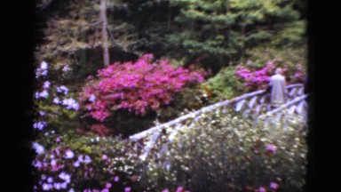 1952: flowers and shrubbery with people crossing a bridge CAMDEN, NEW JERSEY