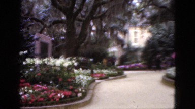 1952: a stroll through a lavish garden CAMDEN, NEW JERSEY