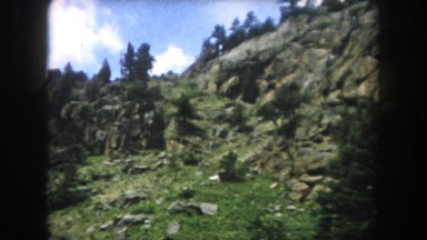 1962: A Rocky Area With Many Coniferous Trees Sparsely Distributed Catskill