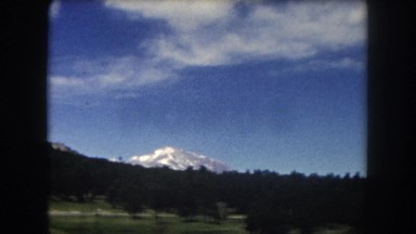 1962: Landscape of Trees on a Sunny Day Acapulco, Mexico