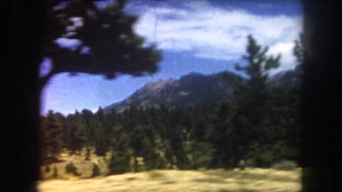 1962: Beautiful Forest Landscape with Trees and Mountain in Las Vegas