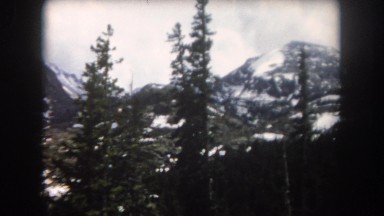 1962: forest mountain snow cold covered huge pine NEW YORK