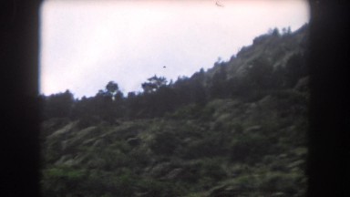 1962: grassland vast area sunlight and mountains tree pointed OMAHA, NEBRASKA