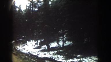 1962: The Interesting Ride Close to an Enchanted Forest Colorado