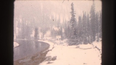 1962: a wet winding road with beautiful snow covered pine trees on either side