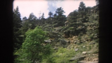 1962: wooded hill, mainly with pine trees, seen from a moving vehicle COLORADO