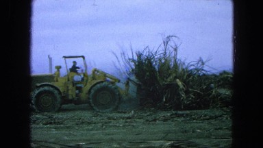 1965: heavy machinery clears a field of vegetation under a cloudy sky MEXICO