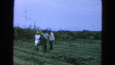 1965: four men are having a discussion while standing in a field that is ready