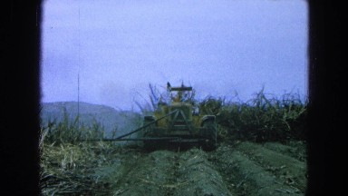 1965: a man driving a large backhoe to clear away brush from a lot MEXICO