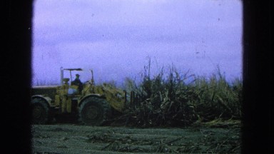 1965: construction taking place on the vast amount of land in the country MEXICO