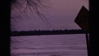 1967: two distant animals moving across frozen white lake surface in winter